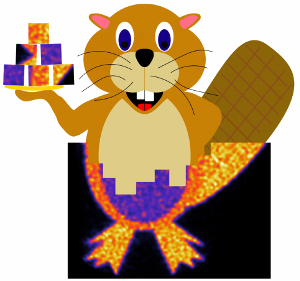 CASToR Logo